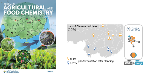 我院凌铁军课题组揭示中国黑茶中微生物和非挥发物化学多样性的决定因子