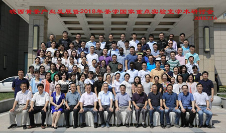 产学研深度融合助力皖西黄茶产业发展——安农大茶食学院教工党支部开展主题党日活动