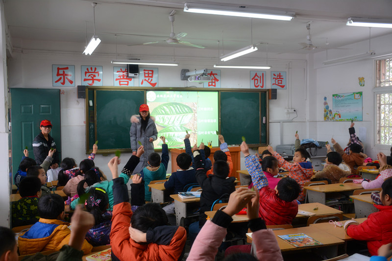 情系12·5，志愿在行动——茶食学院开展“国际志愿者日”系列活动