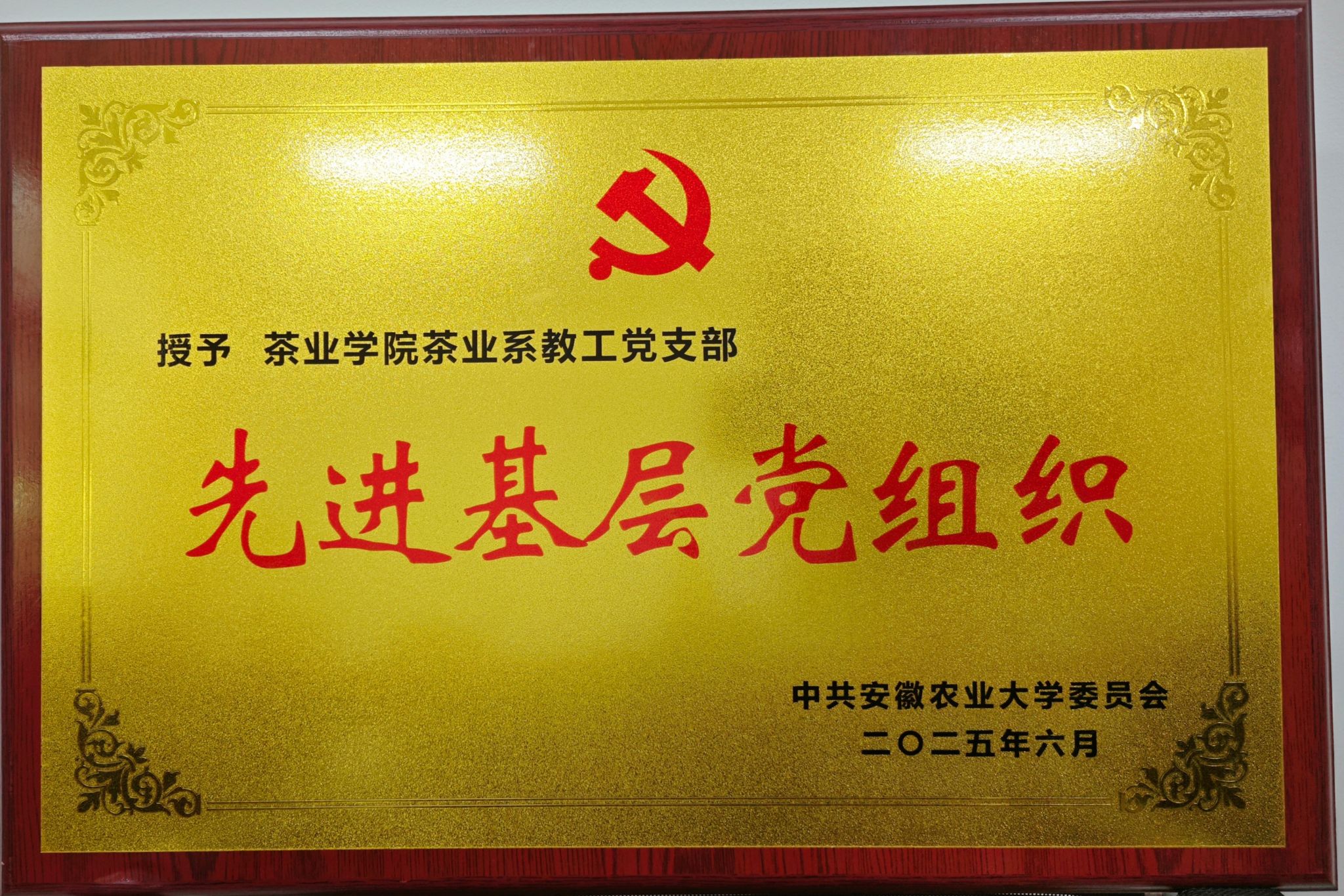 党旗飘扬，献礼“七一”——茶业学院党建工作荣获佳绩