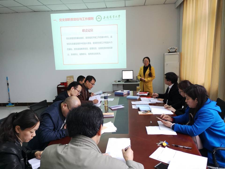 学习新条例·着力加强新时代党支部建设