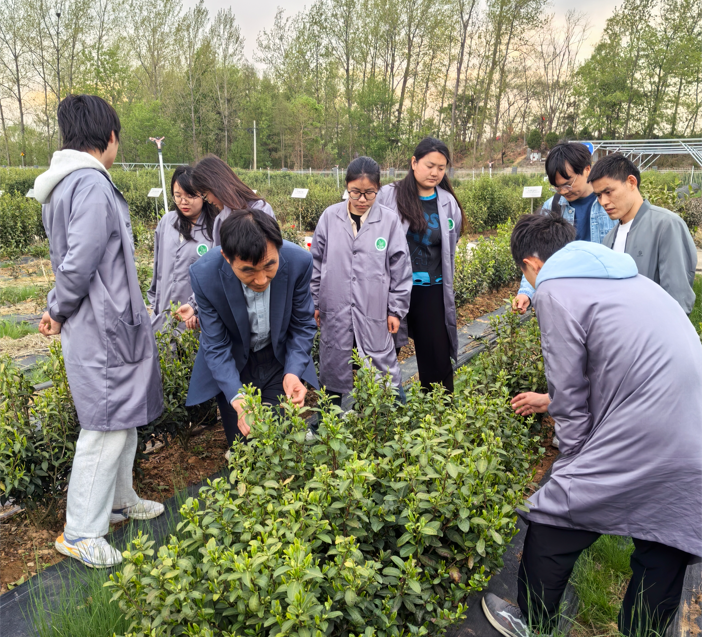 茶韵皖中，实践求知——2022级茶学专业本科生赴皖中综合实验站开展教学实习