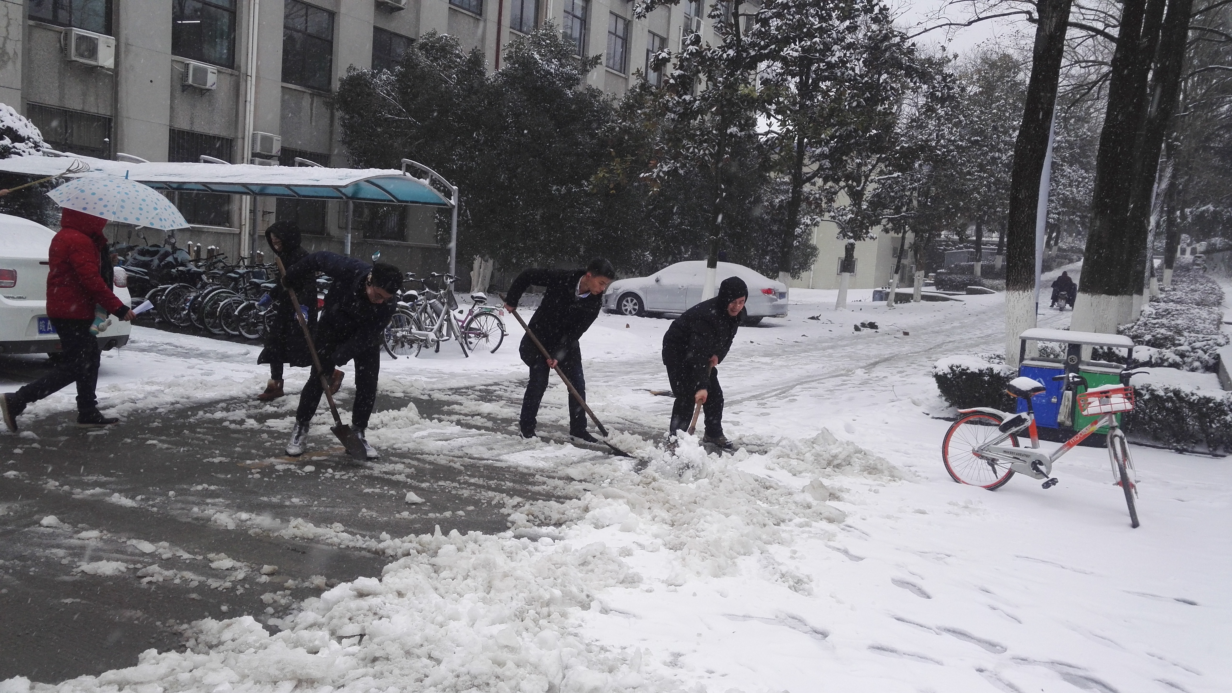茶食学院师生积极清扫积雪