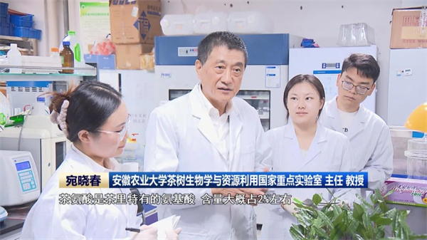 【95周年校庆】宛晓春：用科研初心诠释茶者匠心