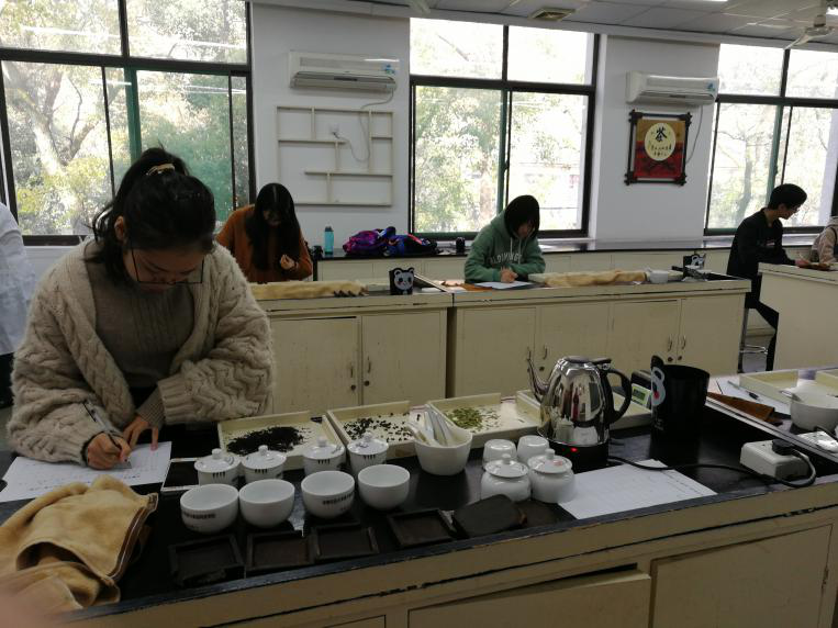 茶与食品科技学院第十一届茶叶审评大赛成功举办