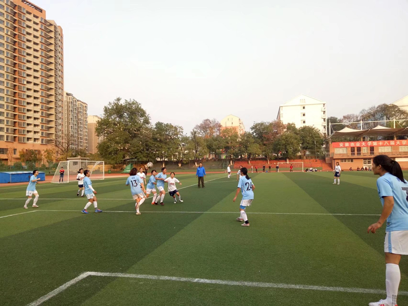 茶食女足勇夺桂冠  巾帼出征荣耀归来