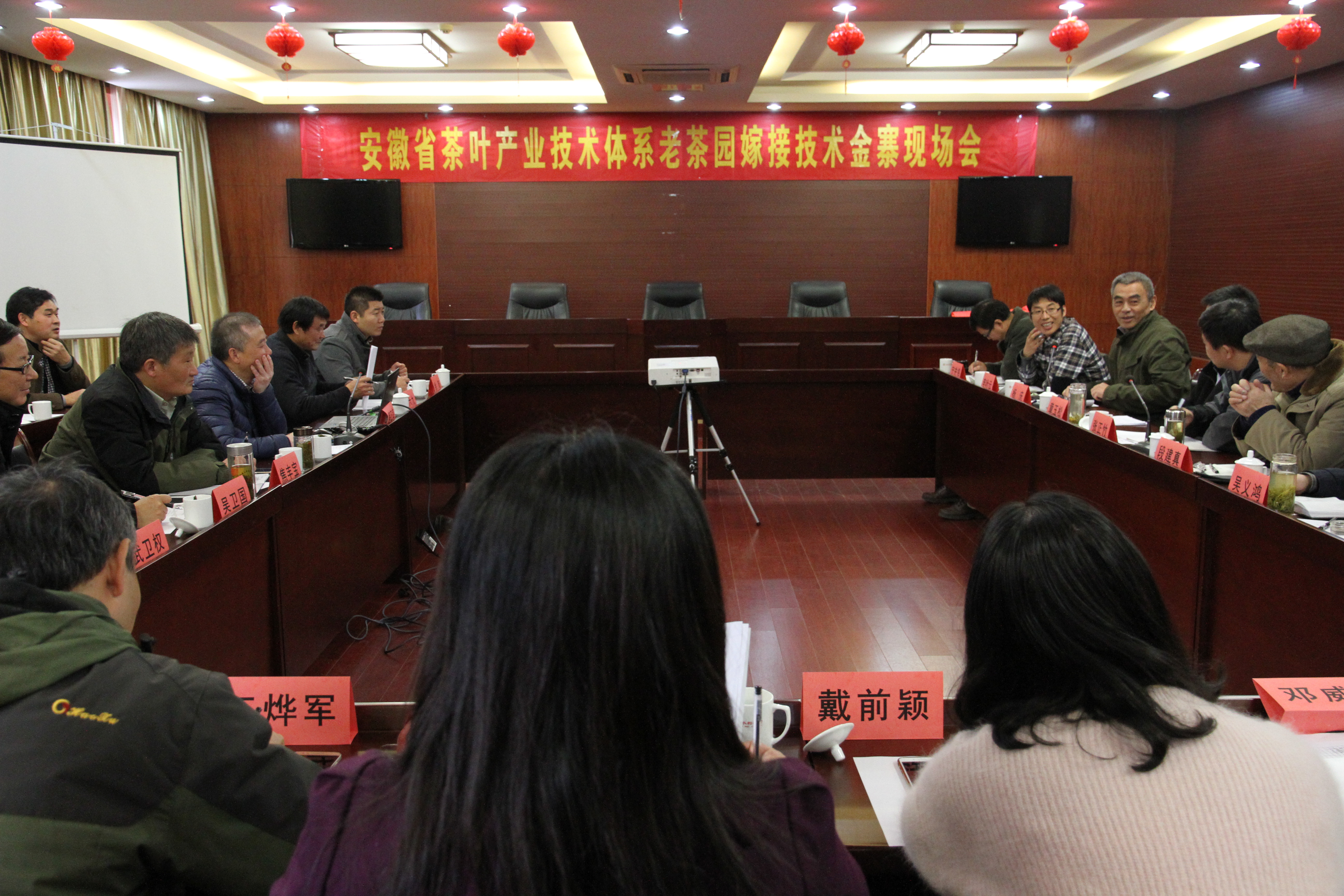 安徽省茶产业技术体系“低产老茶园嫁接改造技术”现场会在金寨试验站举行