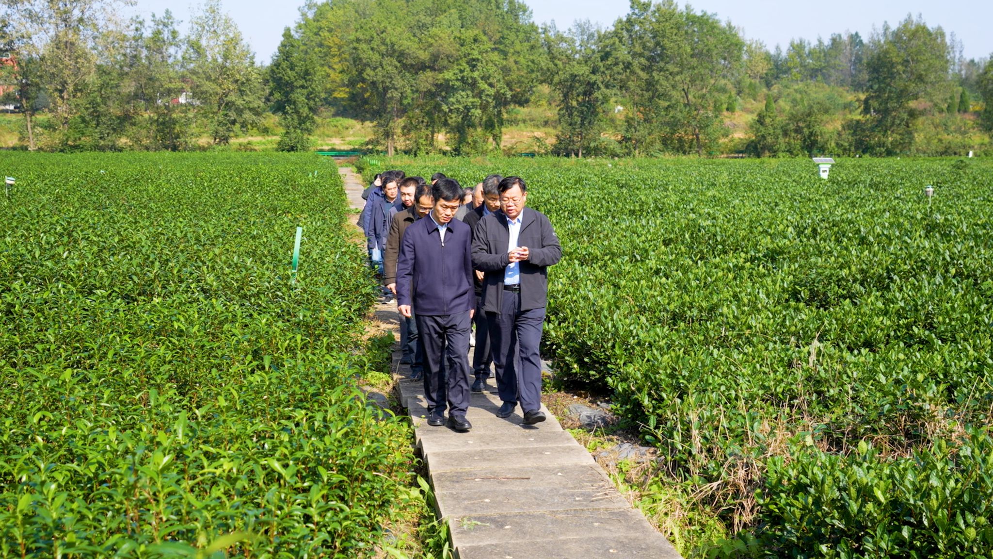 我院开展重温“大别山道路”主题实践教育