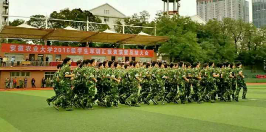 茶食学院2016级本科新生军训工作再创佳绩