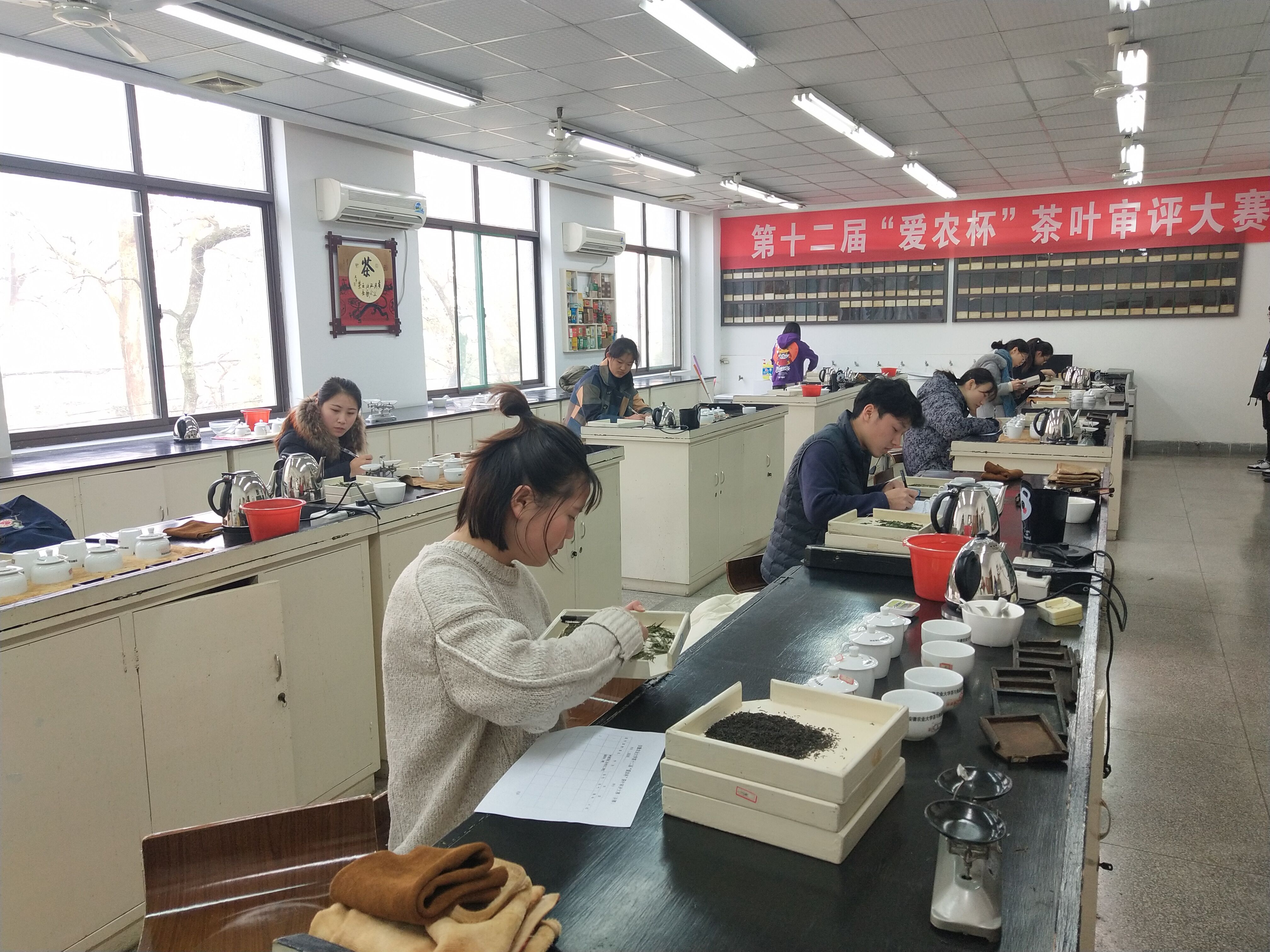 茶与食品科技学院第十二届茶叶审评大赛圆满举办
