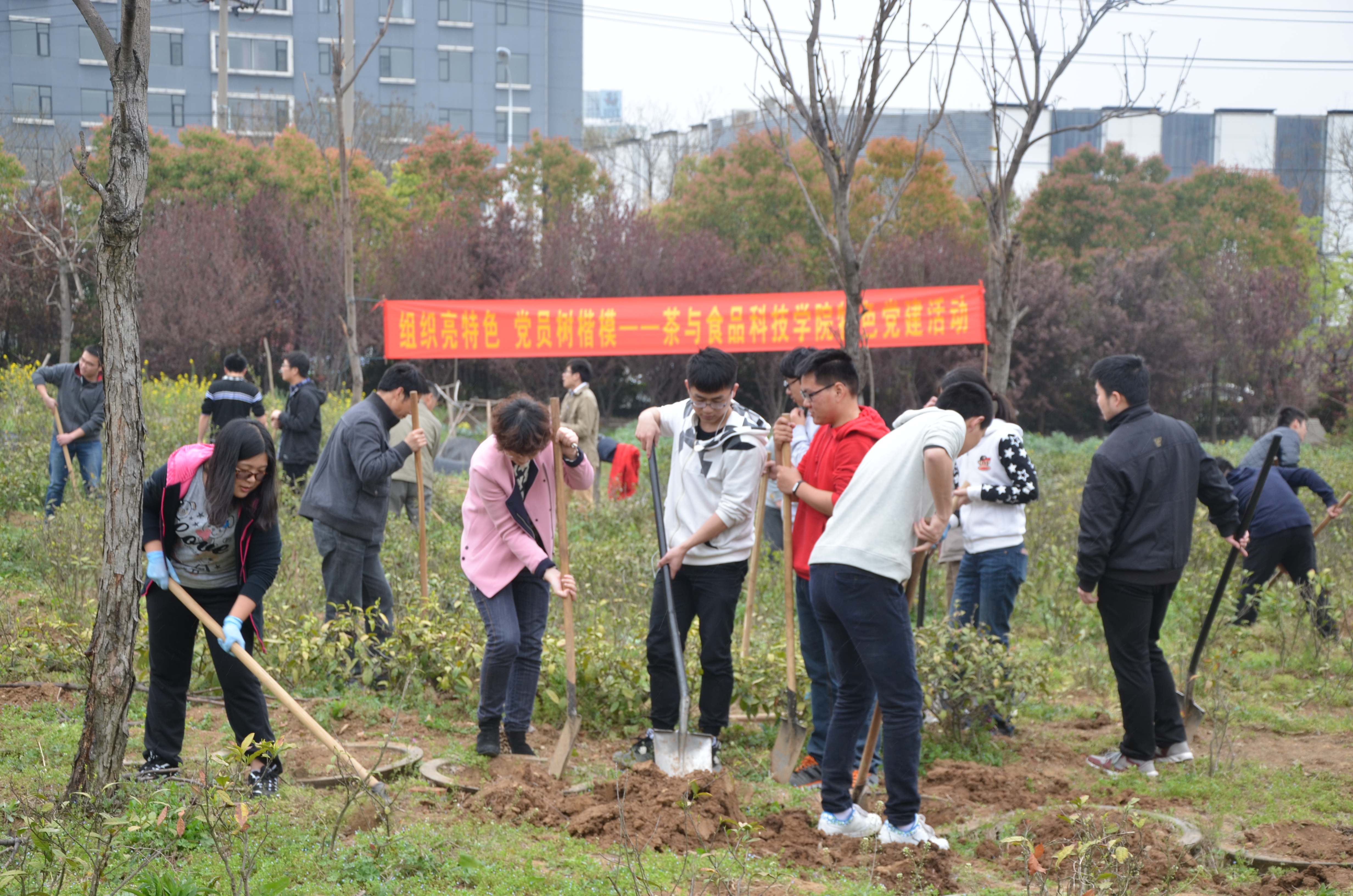 将“两学一做”搬进田间地头——茶食学院开展特色党建活动