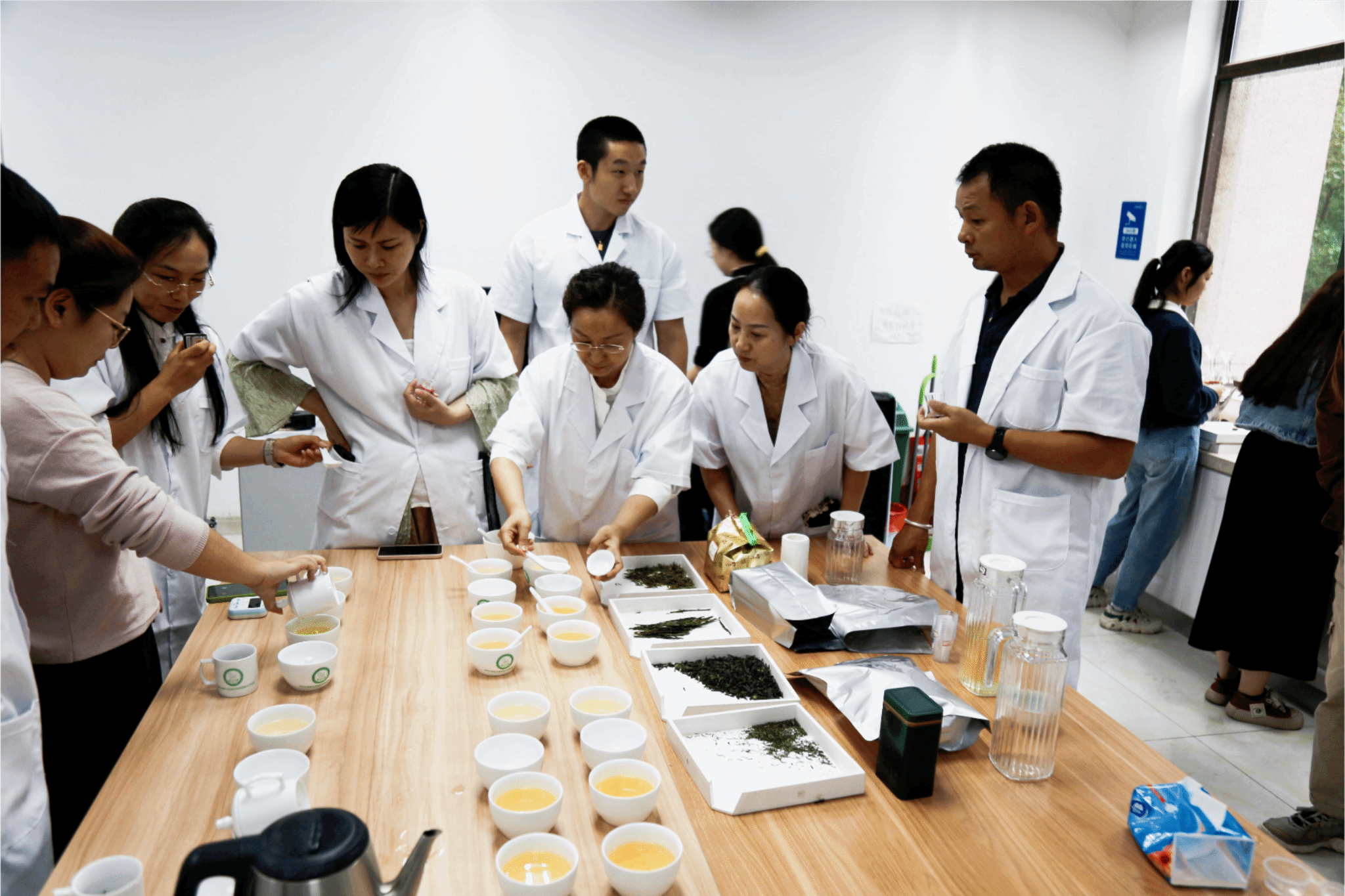 校企合作茶产业人才培训项目圆满结束