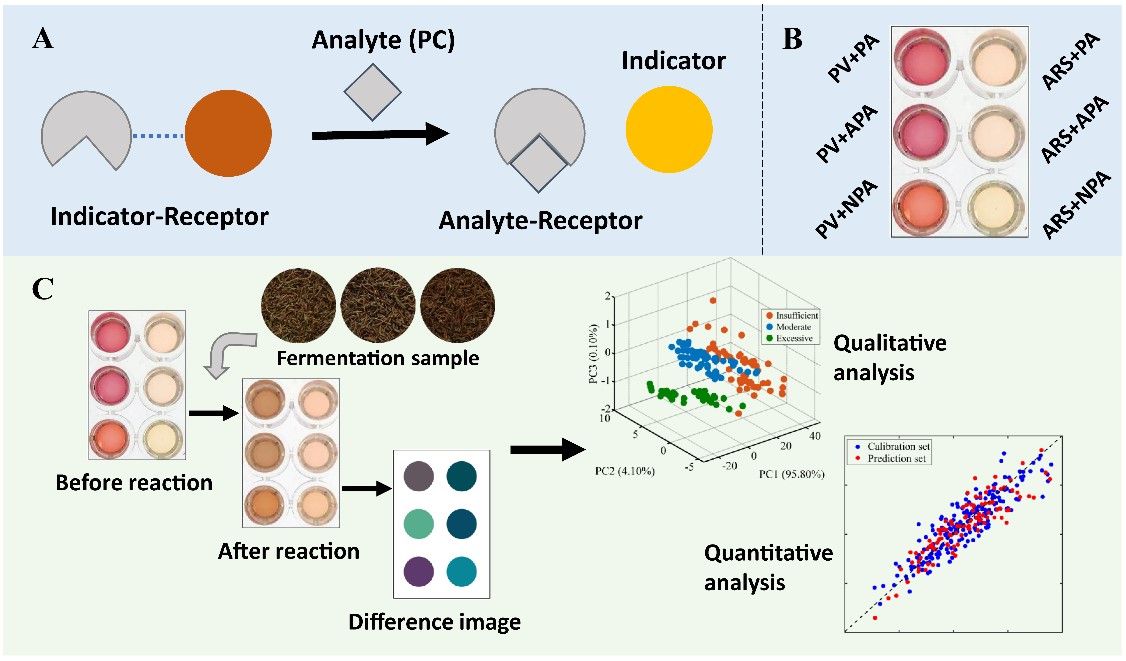 我院茶叶品质控制与综合利用团队在茶叶加工智能化品控方面取得重要进展