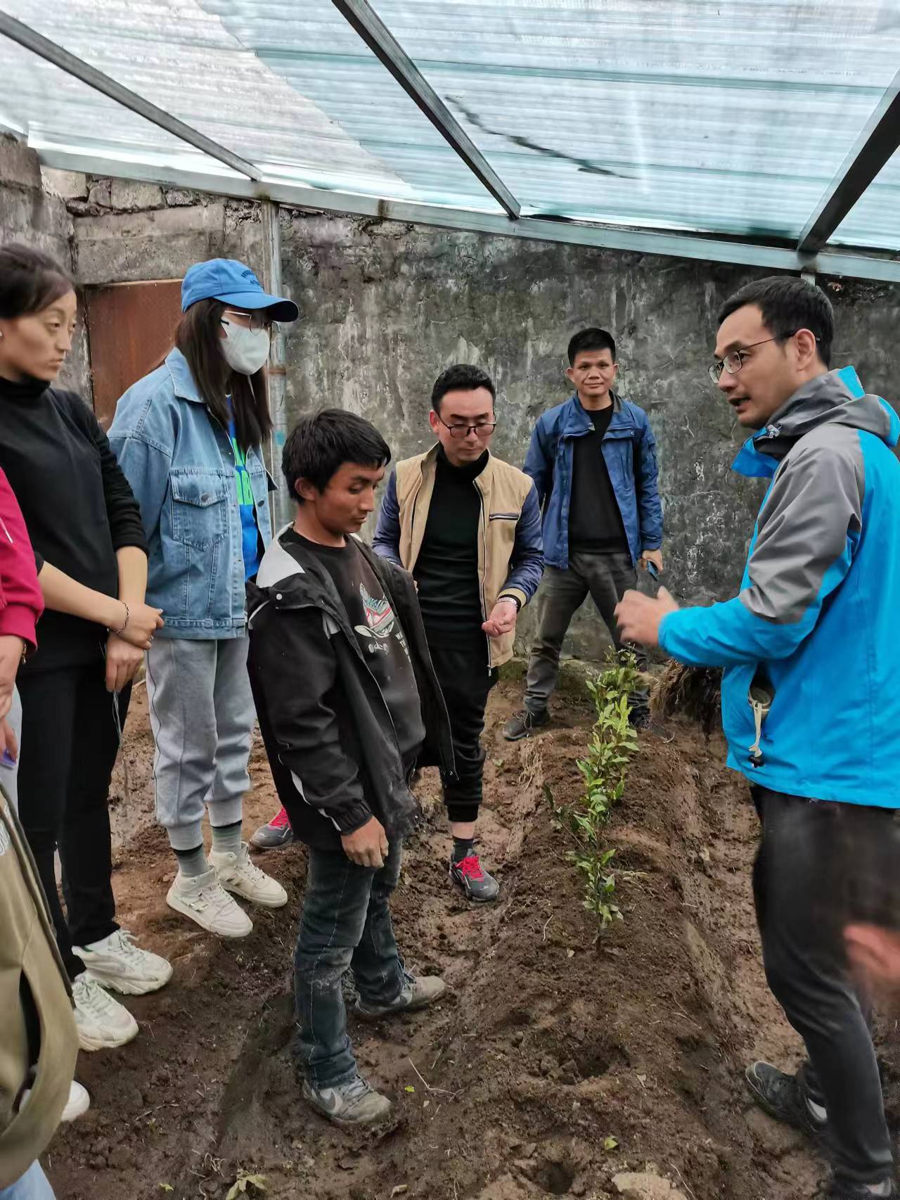 【党建领航】在雪域高原上种茶的安农人