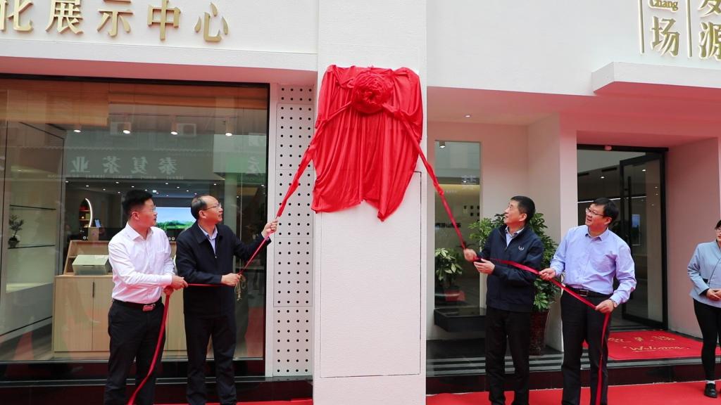 我校岳西县茶产业研究院揭牌